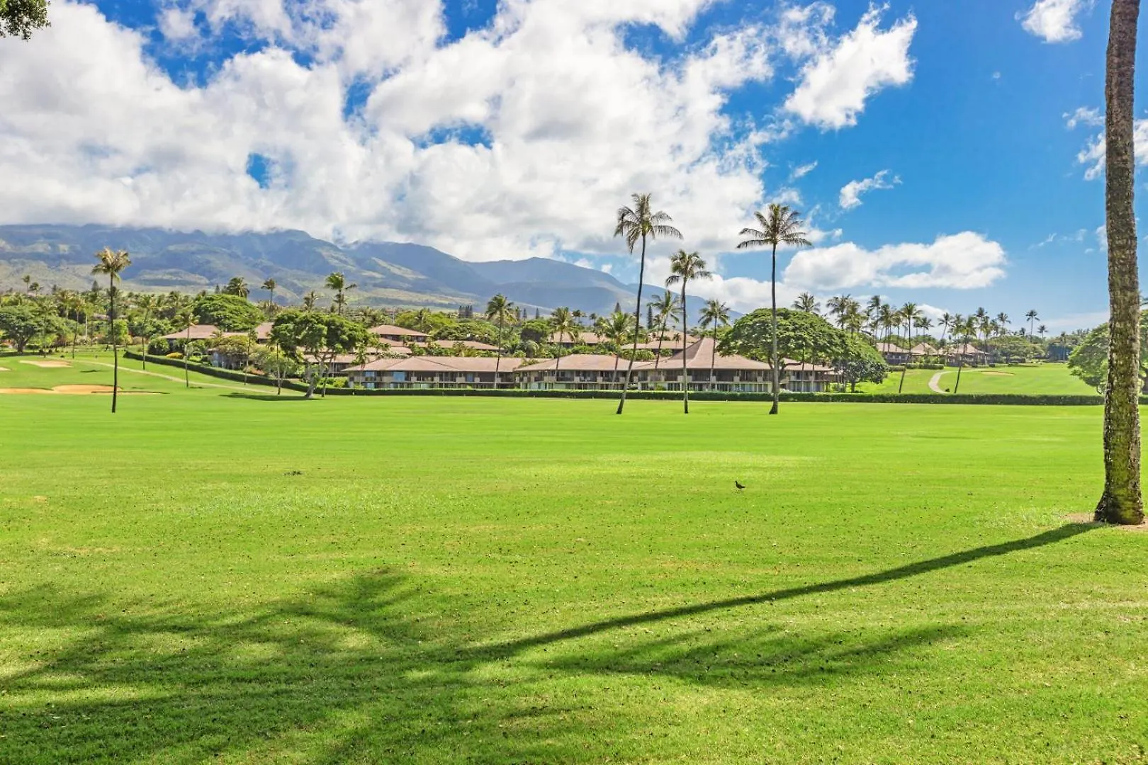 Maui Eldorado - G108 - Stay In The Heart Of Kaanapali Kahana 0*,  United States